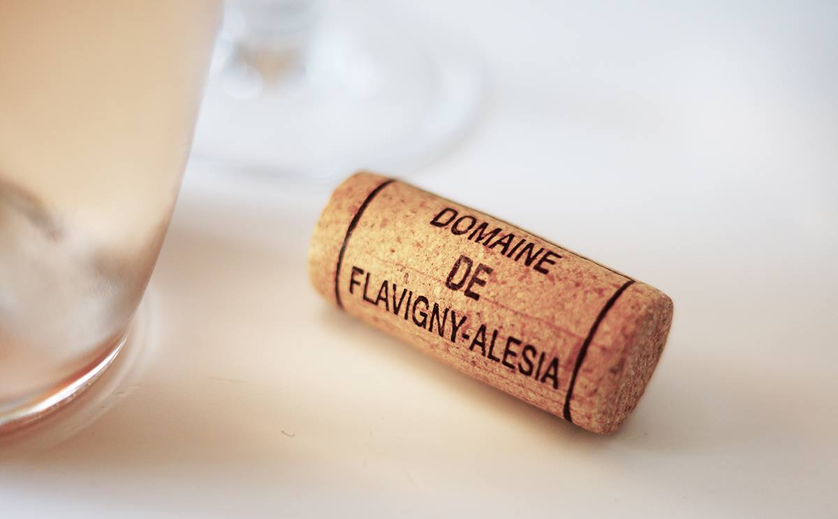 Domaine de Flavigny-Alésia